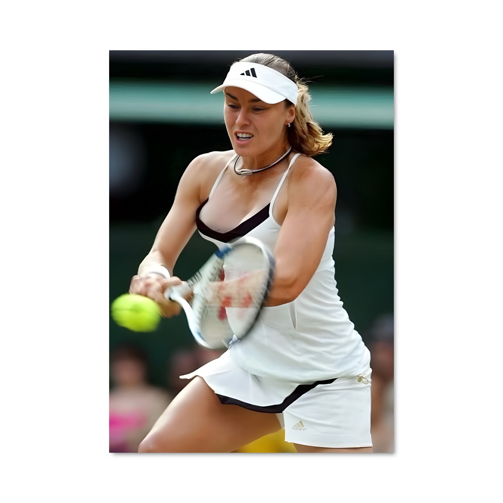 Poster Martina hingis swingue